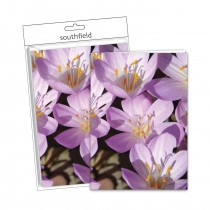 Lilac Flower Cards/Envs